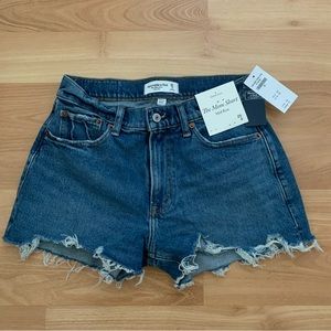 Abercrombie & Fitch Curve Love Mid Rise Mom Shorts NWT